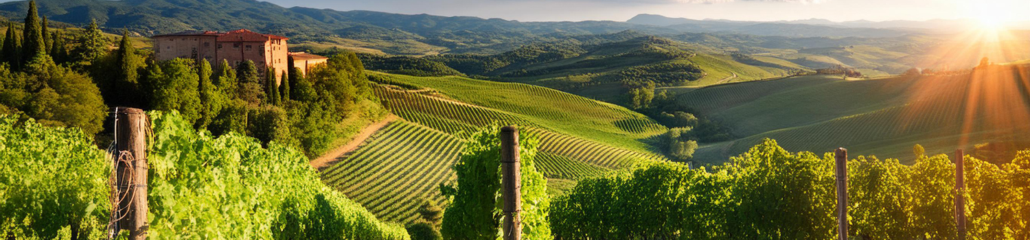 sklenice na Montepulciano